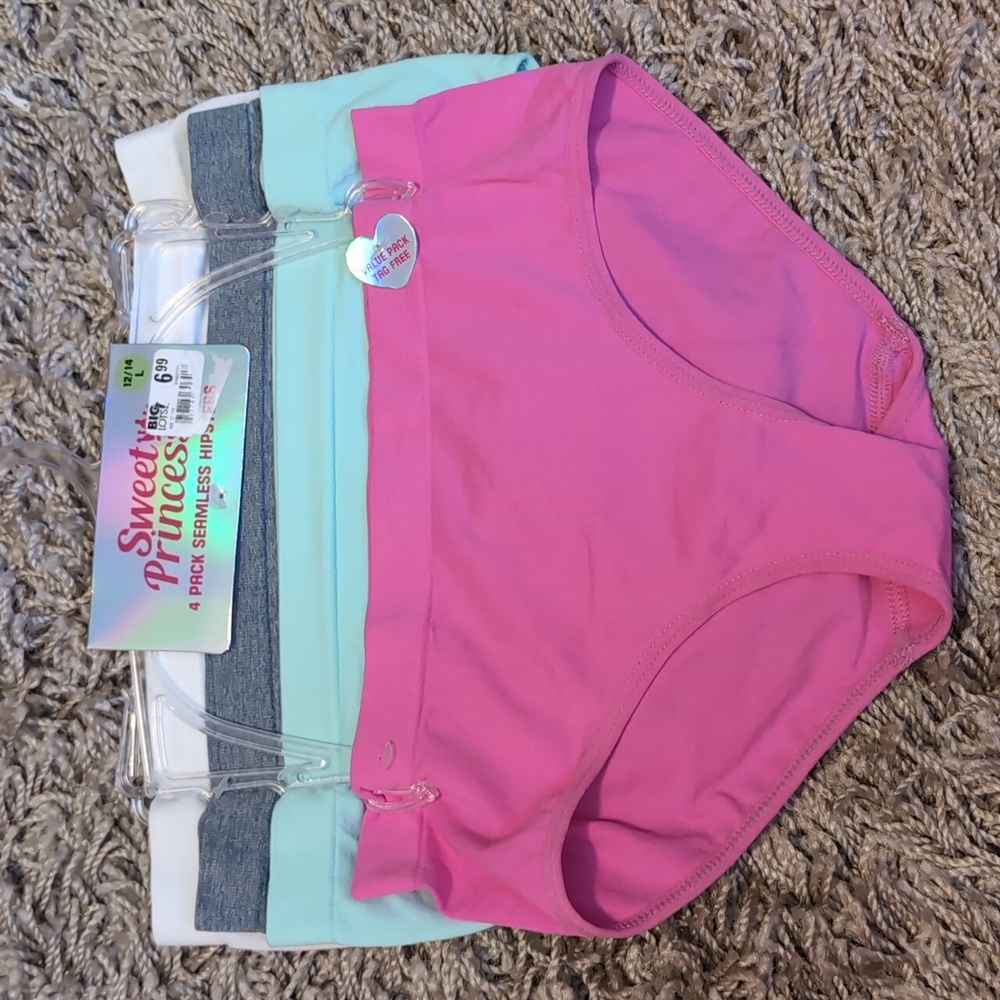 ♥️4/$20 New Sweet Princess Seamless Hipster Underwear